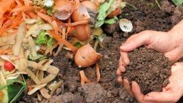kompost compost-6053136 960 720